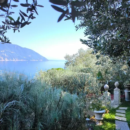 Counting Stars Villa *