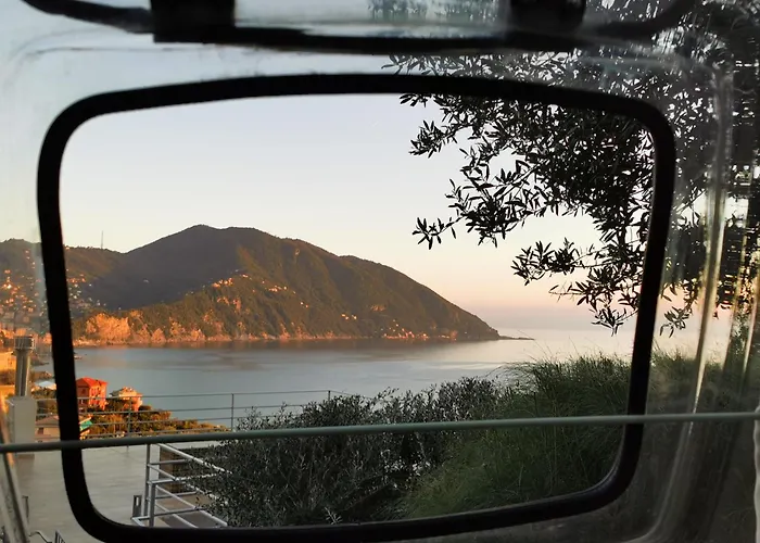 Counting Stars Recco